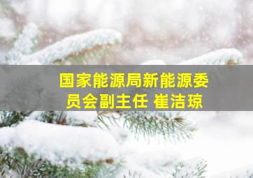 国家能源局新能源委员会副主任 崔洁琼